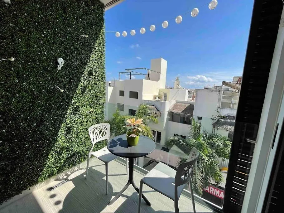 Διαμέρισμα Best Penthouse On 5Av! Private Pool! Rooftop With Ocean View Πλάγια Ντελ Κάρμεν