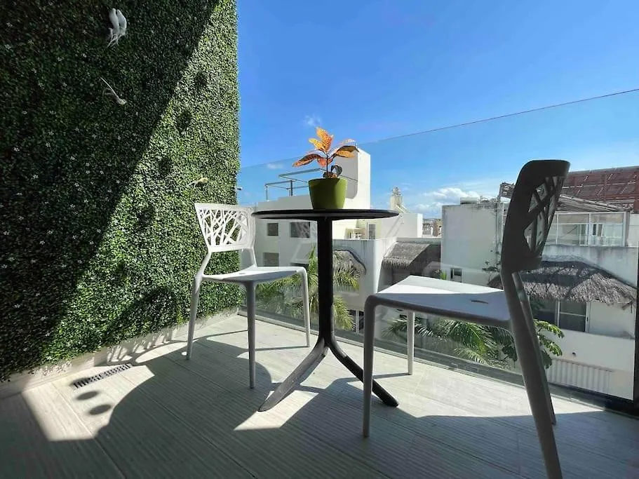 Best Penthouse On 5Av! Private Pool! Rooftop With Ocean View Playa del Carmen Meksyk